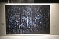 _DSF5249