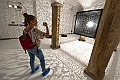_DSF8531