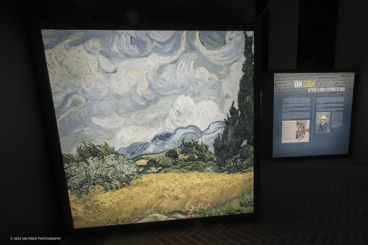 _DSF5679.jpg - 17/03/2023. Torino. Arriva a Torino VanGogh experience,  la mostra multimediale che abbraccia il visitatore in una nuova esperienza multisensoriale. Nella foto la prima parte della mostra