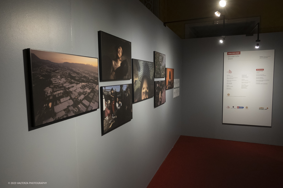 _DSF5695.jpg - 22/09/2023. Torino. Ritorna a Torino per il settimo anno consecutivo la World Press Photo Exhibition 2023  la piÃ¹ prestigiosa mostra internazionale di fotogiornalismo al mondo. Nella foto  parte della mostra l'opera Splendido Veleno del fotografo messicano Crisopher Rogel Blanquet
