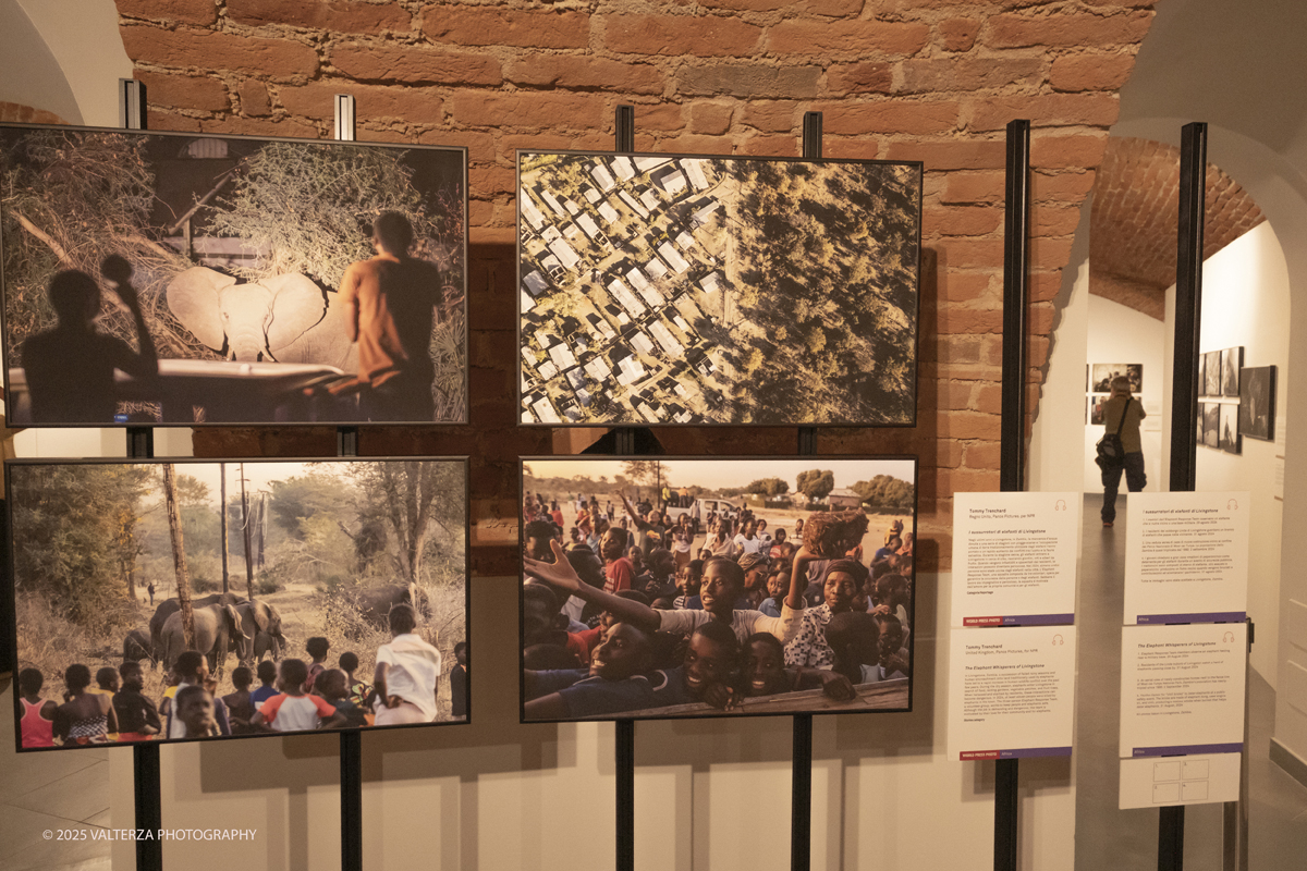 _DSF0062.jpg - World Press Photo Exhibition 2025 all’Accademia Albertina di Torino Il percorso espositivo presenta i lavori pubblicati dalle più autorevoli testate internazionali – da National Geographic a BBC, da CNN a Le Monde ed El PaÃs – e si conferma uno degli appuntamenti più attesi  per chi vuole comprendere il mondo attraverso lo sguardo dei reporter. Nella foto  categoria Reportage  fotografo Tommy Trenchard servizio I sussurratori di elefanti di Livingstone