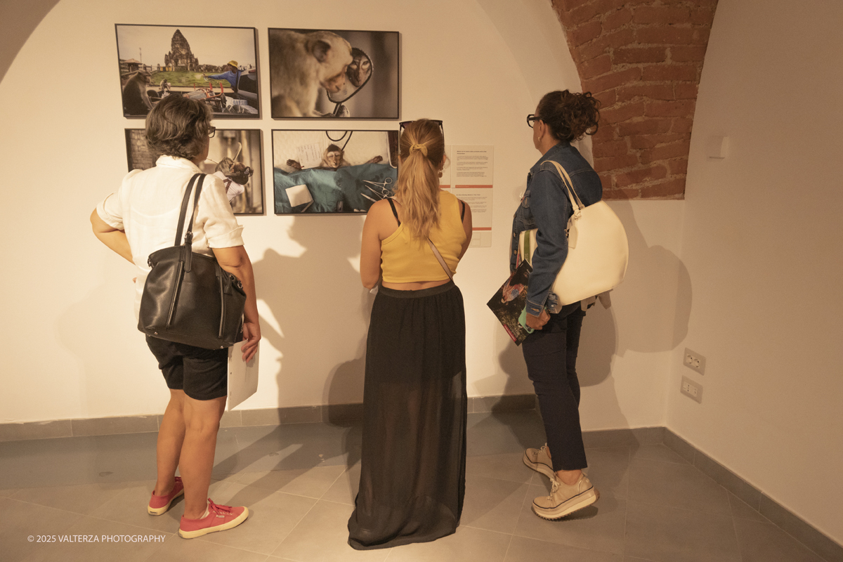 _DSF0227.jpg - World Press Photo Exhibition 2025 all’Accademia Albertina di Torino Il percorso espositivo presenta i lavori pubblicati dalle più autorevoli testate internazionali – da National Geographic a BBC, da CNN a Le Monde ed El PaÃs – e si conferma uno degli appuntamenti più attesi  per chi vuole comprendere il mondo attraverso lo sguardo dei reporter. Nella foto in visita alla mostra