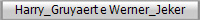 Harry_Gruyaert e Werner_Jeker