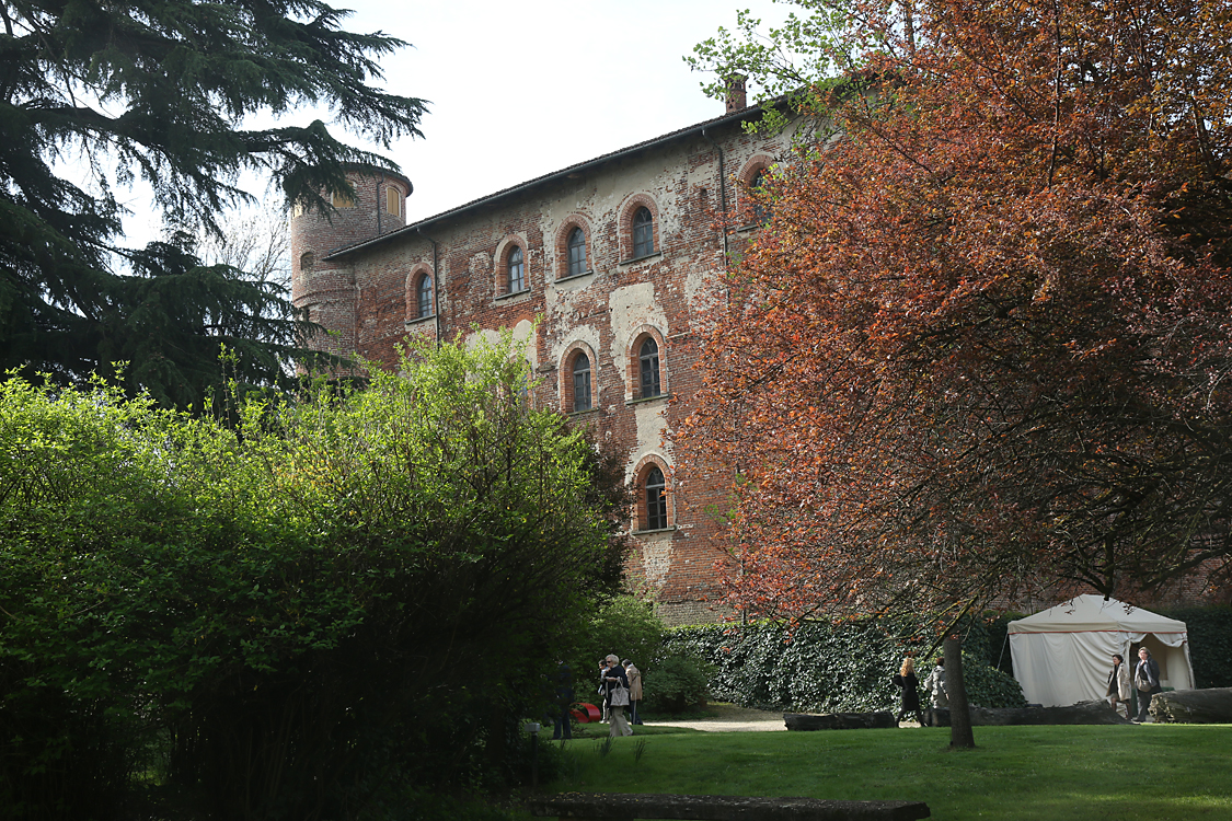 MesserTulipano_082.jpg