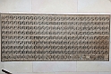 MesserTulipano_519