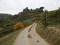 Autunno_12