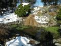 ParcoDelValentinoConNeve129