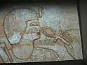 Nefer_61