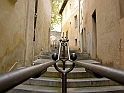 Avignon34