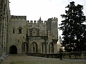 Avignon49