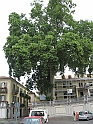 IMG_4898