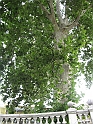 IMG_4899