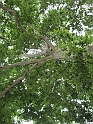 IMG_4900