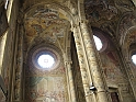IMG_4949