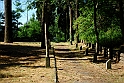 AviglianaCastello_049