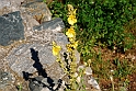 AviglianaCastello_076