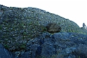 AviglianaCastello_096