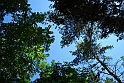 AviglianaCastello_119