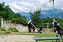 AviglianaSantaMaria_179