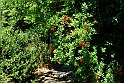Avigliana_128