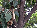 trinidad-114