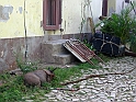trinidad-25