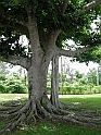 vinales-105