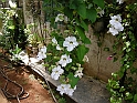 vinales-115