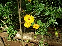 vinales-116