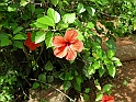 vinales-118