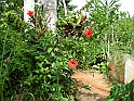 vinales-120