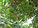 vinales-122