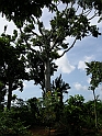 vinales-128
