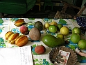 vinales-131