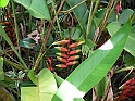 vinales-134