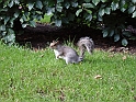 Edimburgo_027