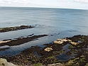 Edimburgo_164