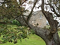 Edimburgo_174