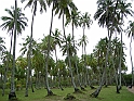 Maceio_Brasile_002