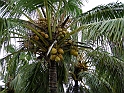 Maceio_Brasile_003