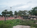 Maceio_Brasile_022