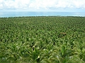 Maceio_Brasile_024