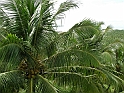 Maceio_Brasile_025