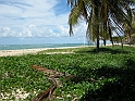 Maceio_Brasile_034