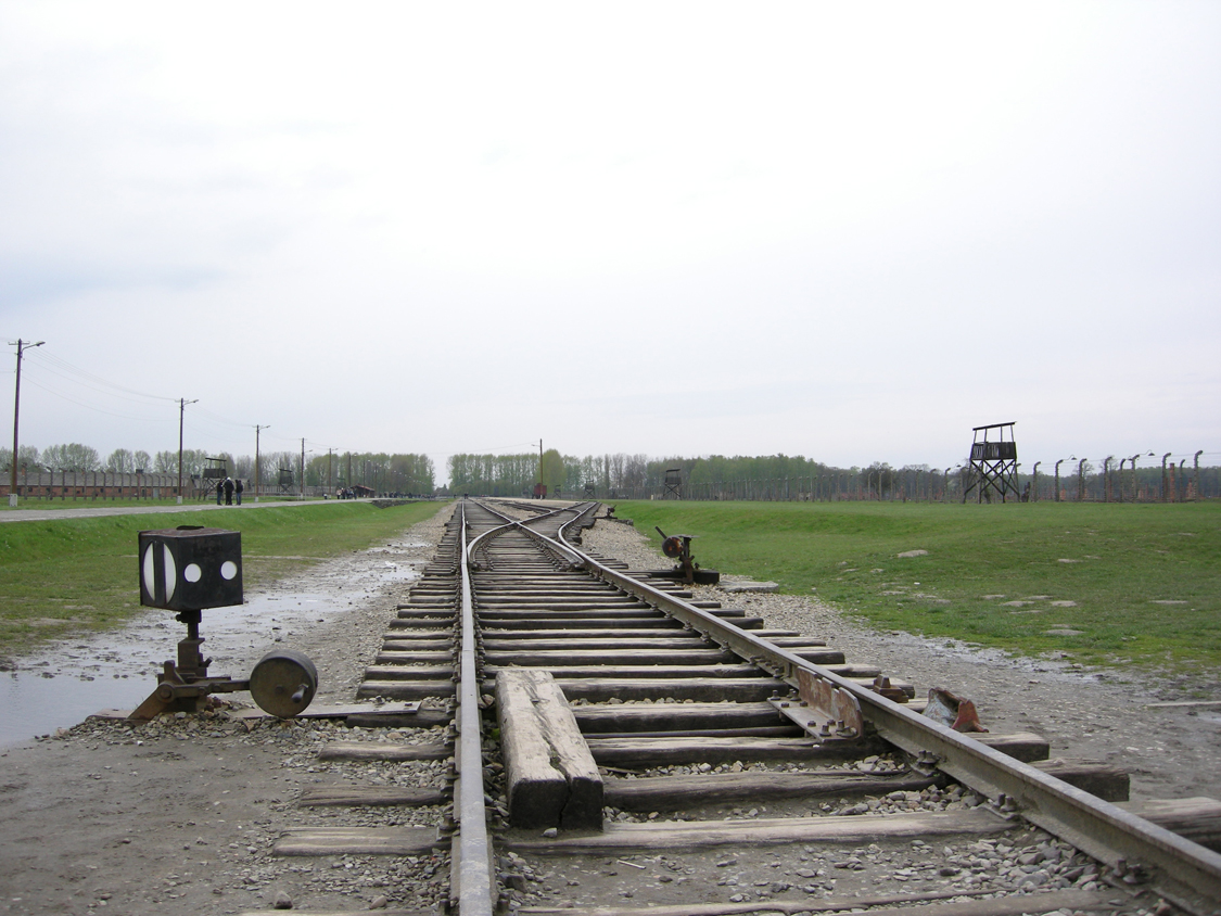 Birkenau-3.jpg