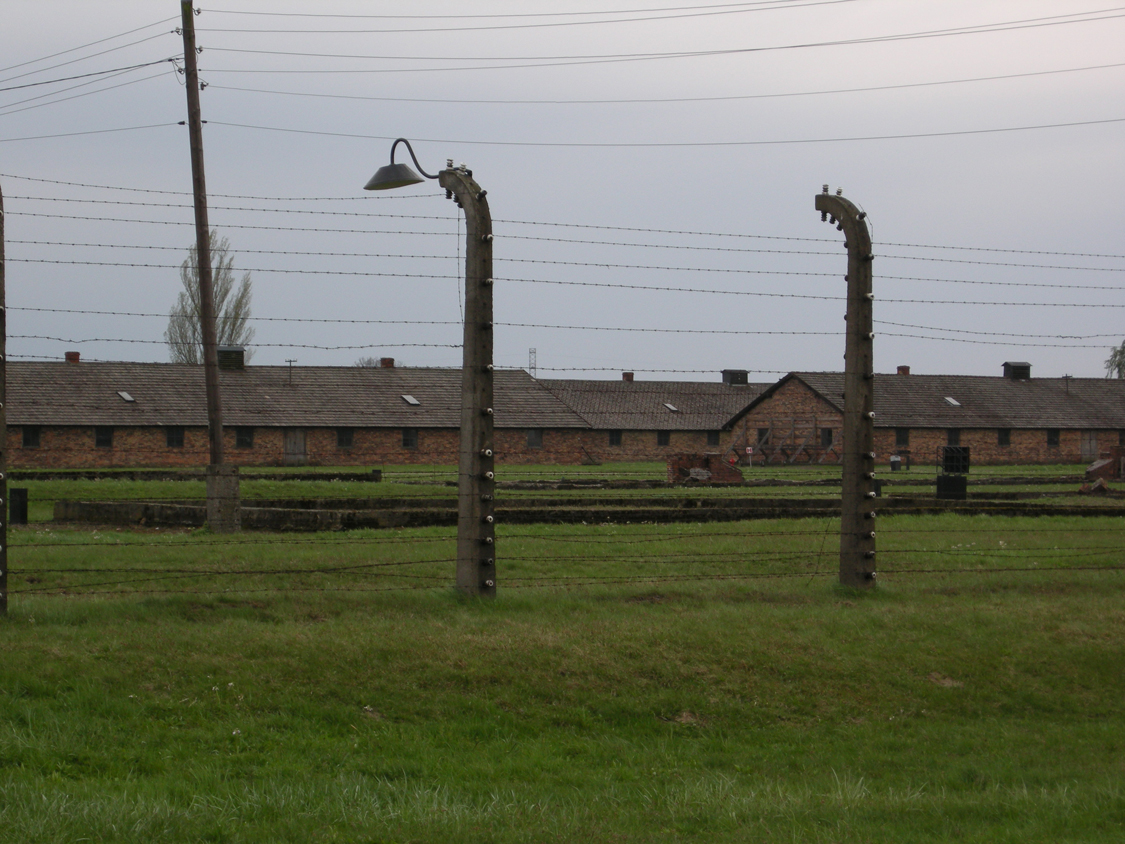 Birkenau-8.jpg