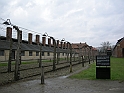 Auschwitz-04