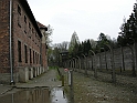 Auschwitz-11