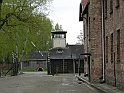 Auschwitz-13