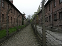 Auschwitz-14